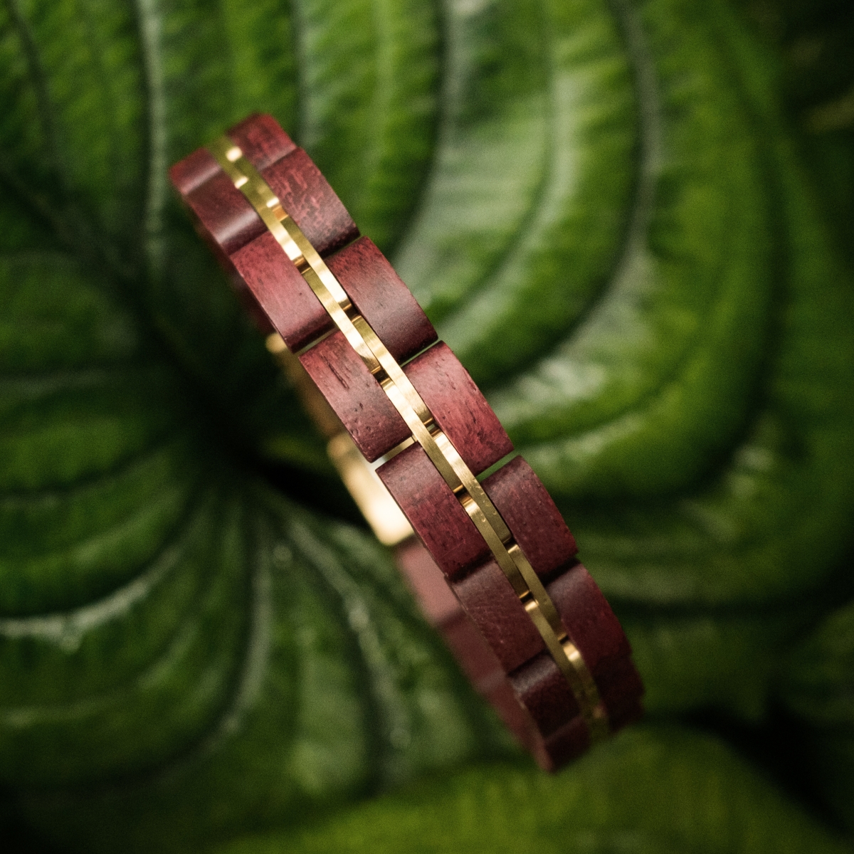 Bel Canto £69