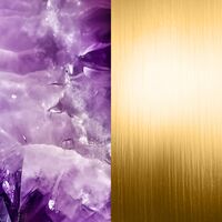 Aphonia Earrings (Amethyst/Gold)