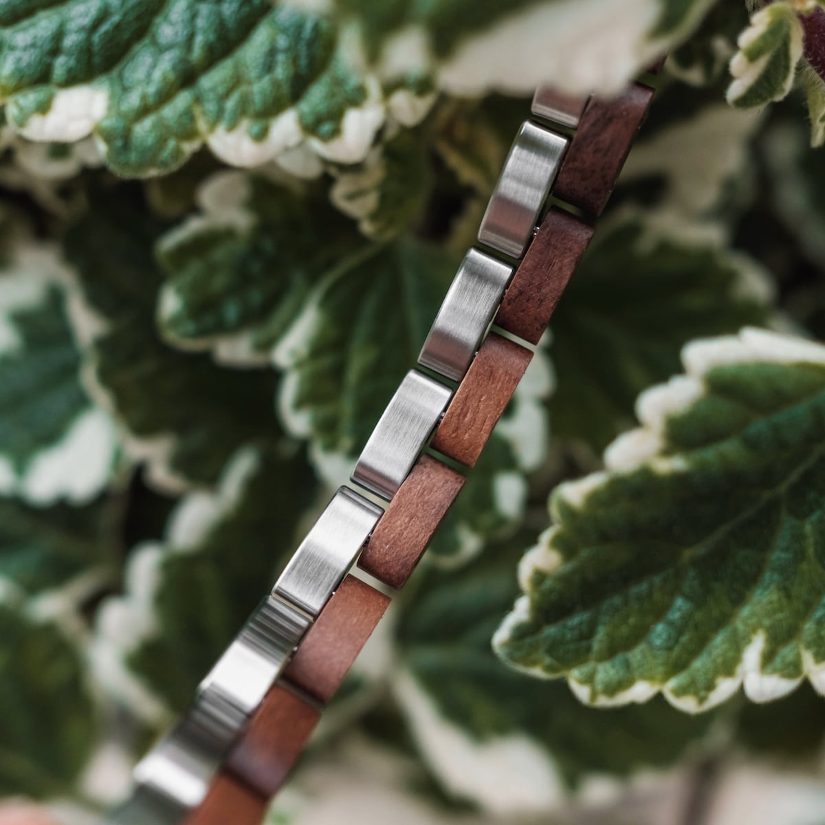 Duet £69